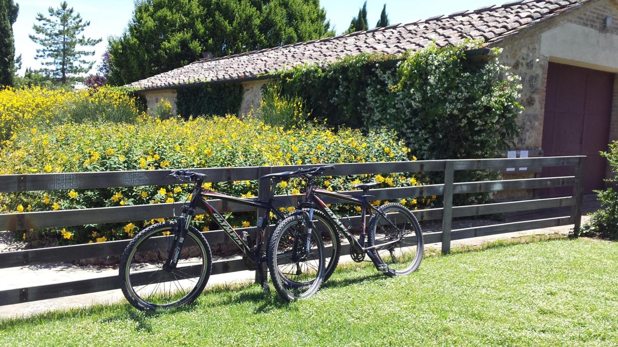 Fattoria Agriturismo Nerbona Casole d'Elsa Exterior photo